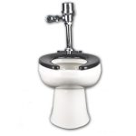 wc-carlton-con-fluxom-venceramica-institucional